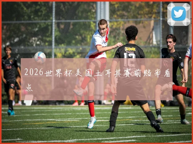2026世界杯美国土耳其赛前赔率看点