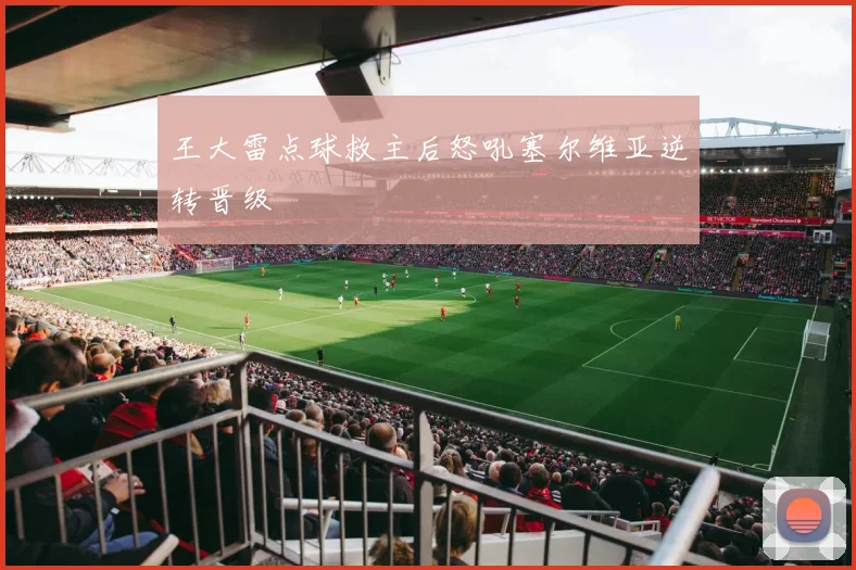 王大雷点球救主后怒吼塞尔维亚逆转晋级