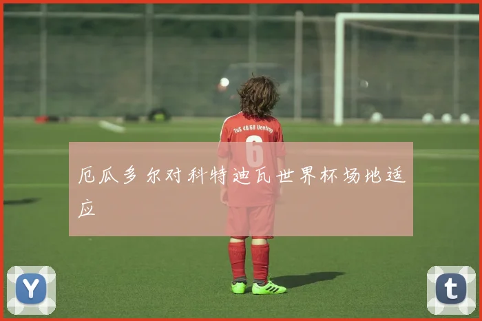 厄瓜多尔对科特迪瓦世界杯场地适应