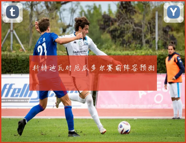 科特迪瓦对厄瓜多尔赛前阵容预测