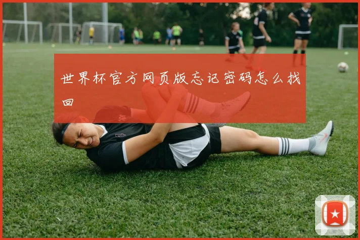 世界杯官方网页版忘记密码怎么找回