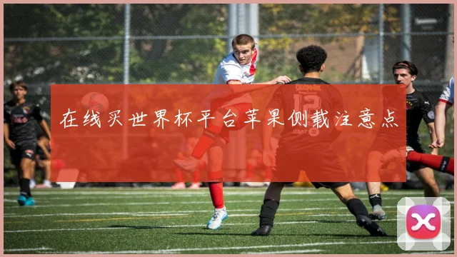 在线买世界杯平台苹果侧载注意点